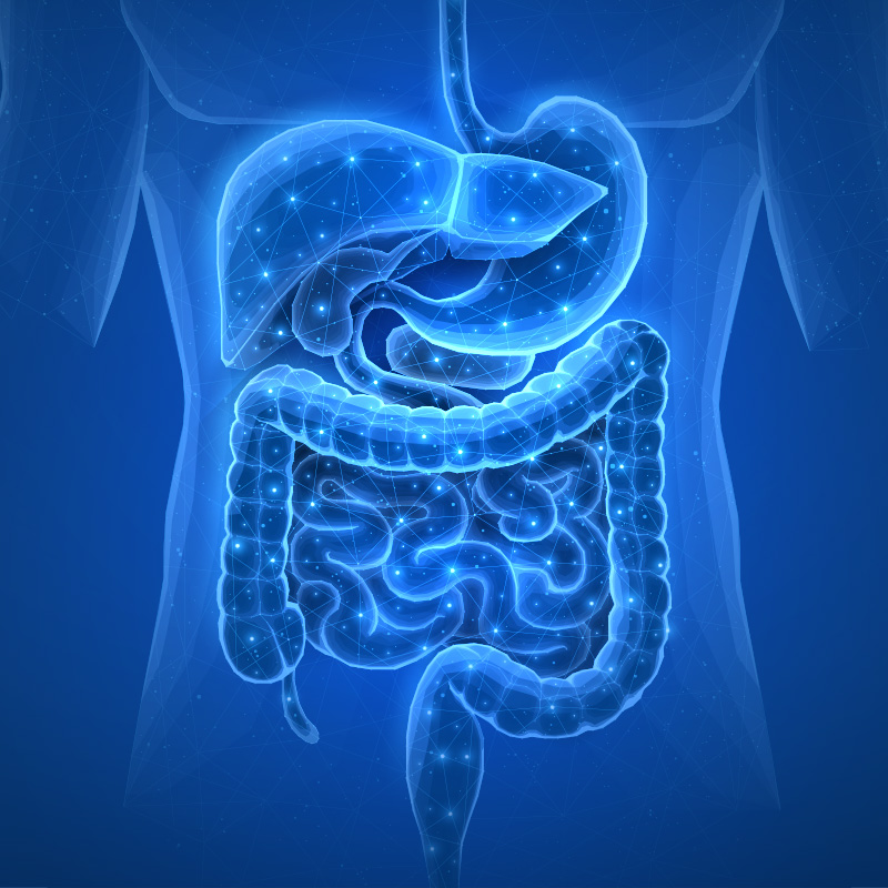 GI Testing - Stuart and Port St Lucie Chiropractor